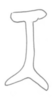 Connective on [Oliarus] coconinus Ball, 1934: (Observation).