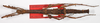 CollectionObject 1562995; 197b2569-88bf-455e-8083-ea39a065f5f1: copyright ZSMC. female (holotype). (CollectionObject).