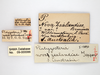 CollectionObject 1863612; 158d3827-df27-4b0d-b2c4-fbcf7efba9ec: (CollectionObject).