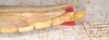 CollectionObject 1562286; MVMA T-13884, 1c7eb33f-b220-4639-8a55-3789ef18a268: copyright MVMA, Melbourne. female: end of abdomen, lateral view of Trigonoderus childreni (syntype). (CollectionObject).