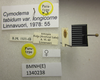 CollectionObject 1594737; 9b4d9197-be57-413e-b0fb-125481439594: Cymodema tabidum longicorne. Paratype. (BMNH) - (CC BY-NC 4.0) Photo by Stuart Cole, reproduced with permission from the Natural History Museum, London, UK. (CollectionObject).
