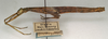 CollectionObject 1557037; c11ce68e-f3b3-41fb-ab8b-9cfadadac161: copyright NMW, Vienna. female, lateral view (holotype). (CollectionObject).