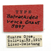 CollectionObject 1522979; 7cff80dd-0026-4c6b-91b4-b05528cc5be6: labels (holotype). (CollectionObject).
