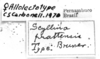 CollectionObject 1521544; 53dd12aa-1b7b-4095-9791-f319e11e0cad: Image Carbonell, C.S. labels (syntype or allolectotype). (CollectionObject).