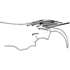 Pygofer ventral appendages, ventral view: Pygofer ventral appendages, ventral view. (Observation).