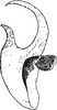 Aedeagus, lateral view: !! display not done !! on Jassargus Zakhvatkin, 1933: Aedeagus, lateral view. (Observation).