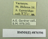 CollectionObject 1573121; 1621f5a9-9b2e-4955-98e9-8478fb1e7aad: Copyright Natural History Museum, London. Labels from non-type (adult female) in BM(NH). (CollectionObject).