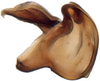 Aedeagus, lateral view: !! display not done !! on Limotettix Sahlberg, 1871: Limotettix striolus, aedeagus and dorsal connective, laterally (INHS). (Observation).