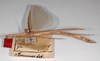 CollectionObject 1561996; 5dc5585a-aabc-40f4-aeb2-c11d030b0fe7: copyright ZMHB, Berlin. female, lateral view (syntype), copyright ZMHB, Berlin. (CollectionObject).;CollectionObject 1561997; 46748e3b-a7d3-4693-bbcc-b6709fd08cac: copyright ZMHB, Berlin. female, lateral view (syntype), copyright ZMHB, Berlin. (CollectionObject).