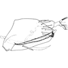 Pygofer, lateral view on Bolanusoides bohater Dworakowska, 1988: Genital capsule, lateral view. (Observation).