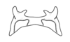 Eurotettix monnei Pujol-Luz, Alves Dos Santos & Guerra, 2001: Fig. 9S. epiphallus, dorsal view. (Otu).