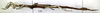 CollectionObject 1562450; f6b4ecc5-6862-48b9-a8b3-627a2ea47473: copyright MNHN, Paris. female, lateral view (paratype). (CollectionObject).;CollectionObject 1562451; a3868688-6a1b-41c8-b4c7-667a81b66070: copyright MNHN, Paris. female, lateral view (paratype). (CollectionObject).