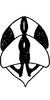 Head: !! display not done !! on Zygina (Zygina) suavis Rey, 1891: Head, pro-, and mesothorax. (Observation).