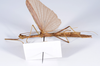 CollectionObject 1559088; ca7a40b1-8fa6-4a1b-8014-6f7d864d69e2: copyright ANSP. male, ventral view (holotype). (CollectionObject).