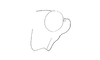 Cloephoracris festae (Giglio-Tos, 1897): Fig. 8A. male head, lateral view. (Otu).