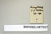 CollectionObject 1553301; NHMUK(SF IMPORT DUPLICATE) BMNH(E) #877037, 4b18654e-3605-4a98-b433-ad83e2f8bc80: Copyright Natural History Museum, London. Non-type, adult male, data label. (CollectionObject).