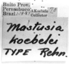 CollectionObject 1533658; 0775a218-398b-4409-864a-14057343bd14: labels (lectotype). (CollectionObject).