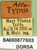 CollectionObject 1502457; 8943fc99-60b4-4e41-bdef-7529e77ebec5: labels (allotype). (CollectionObject).