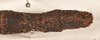 CollectionObject 1558464; 265a6e3d-8035-485c-aba9-aec681d49b9a: copyright OUMNH. female: end of abdomen, dorsal view (syntype). (CollectionObject).;CollectionObject 1558465; d166c98e-8403-4894-9ef3-61957b4ef40b: copyright OUMNH. female: end of abdomen, dorsal view (syntype). (CollectionObject).