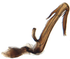 Aedeagus, lateral view: Cochlorhinus pluto, aedeagus and connective, laterally (INHS). (Observation).