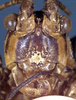 CollectionObject 1517005; 87e174cc-93c3-475d-93bf-1ec9f4d95eec: female nymph head, frontal view (holotype). (CollectionObject).