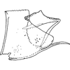 Pygofer, lateral view on Nlunga lankaensis (Dworakowska, 1994): Pygofer, lateral view. (Observation).