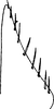 Subgenital plate: !! display not done !! on Cofana spectra (Distant, 1908): Subgenital plate. (Observation).