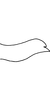 Pygofer appendages on Anufrievia qinlingensis Yang & Zhang, 2018: Pygofer appendages. (Observation).