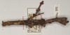 CollectionObject 1559873; d194b348-a9c4-422d-bd8a-3074012801cd: copyright UMO. female (holotype). (CollectionObject).