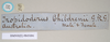 CollectionObject 1562285; NHMUK(SF IMPORT DUPLICATE) 845096, 2604a516-7075-407e-9b68-ad00bbfd3aa9: copyright Natural History Museum, London. female, data labels [round label reversed] of Trigonoderus childreni (syntype). (CollectionObject).