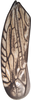 Forewing: !! display not done !! on Aparaphysis lushuiiensis Duan & Zhang, 2013: Forewing. (Observation).