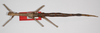 CollectionObject 1576614; 04e63718-9693-498a-925e-4acc8d677421: copyright USNM, Washington. female (paratype). (CollectionObject).;CollectionObject 1576615; 6b99b982-327a-4ec0-b37d-1dfcae616e79: copyright USNM, Washington. female (paratype). (CollectionObject).