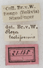 CollectionObject 1564227; NMW 21135, 8e2994fb-5c88-4852-a077-91e5e001c854: labels. (CollectionObject).