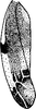 Forewing: !! display not done !! on Empoa (Empoa) vestita (McAtee, 1926): Forewing. (Observation).