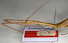 CollectionObject 1561812; NMW 1091, 95d60abd-c5f1-4a84-a33f-c0565dd4c887: copyright NMW, Vienna. female: head and thorax, lateral view (syntype). (CollectionObject).
