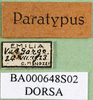 CollectionObject 1502767; 7413115a-d35c-4e48-a9d6-1b54abad5e5c: labels (paratype). (CollectionObject).