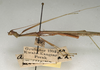 CollectionObject 1561857; a179d6ba-c0fc-4f71-ad69-0ced92cba12e: copyright NMW, Vienna. male: head and thorax, lateral view (holotype). (CollectionObject).