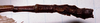 CollectionObject 1557772; 51db88f3-2a41-4085-805f-31018d25de68: copyright MHNG Geneva. male: end of abdomen, doesal view (holotype). (CollectionObject).