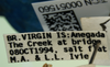Other: !! display not done !! on Acanalonia viequensis Caldwell, 1951: (Observation).
