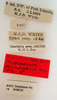 CollectionObject 1504665; c8ee5c62-31a7-4422-b7d3-382946ac677c: labels (holotype). (CollectionObject).