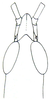 Pyrgacris relictus Descamps, 1968: Fig. 3. male head, dorsal view. (Otu).
