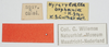 CollectionObject 1576825; 817c978e-77c1-4815-a105-203df4512638: labels. (CollectionObject).