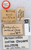 CollectionObject 1517635; 00794a45-b172-432a-beda-1de0dcd728a8: labels (holotype). (CollectionObject).