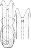Aedeagus, ventral view: Aedeagus, ventral view. (Observation).