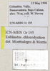 CollectionObject 1544415; 9e9cfe68-9ee4-4ef7-bca3-0d1b7a4193d6: labels (holotype). (CollectionObject).