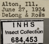 Other: Labels. Labels for the lighter colored specimen used for the dorsal, lateral and face images. (Observation).