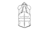 Zygoclistron trachystictum Rehn, 1905: Fig. 49. male, head and pronotum, dorsal view. (Otu).
