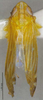 Habitus, dorsal view: !! display not done !! on Hengchunia hexaproducta Xing, Dai & Li, 2010: (Observation).