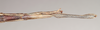 CollectionObject 1561031; NHMUK(SF IMPORT DUPLICATE) 845178-845179, de869378-04ec-471e-8e79-2962a388ba6d: copyright Natural History Museum, London. female: end of abdomen, ventral view of synonym Bacillus coccyx (syntype). (CollectionObject).