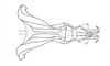Dichroplus paraelongatus Carbonell, 1968: Fig. 78. endophallus, dorsal view. (Otu).